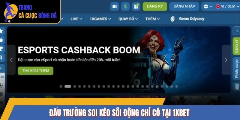 Đấu trường soi kèo sôi động chỉ có tại 1XBET
