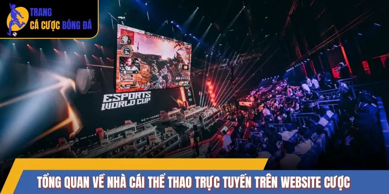 Tổng quan về Nhà cái thể thao trực tuyến trên website cược